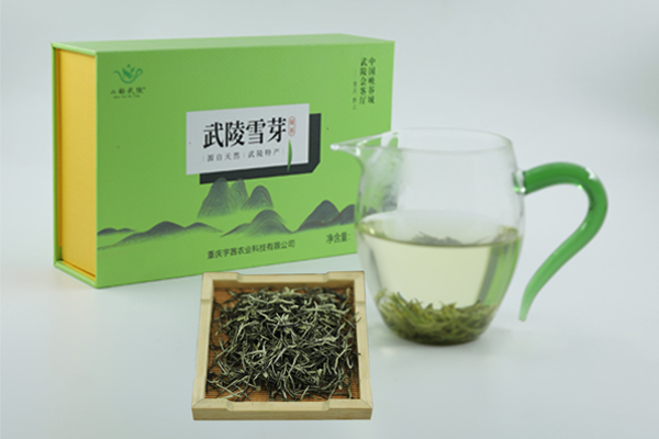 武陵雪芽